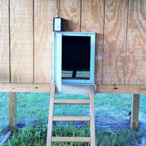 Snake Proofing the Coop